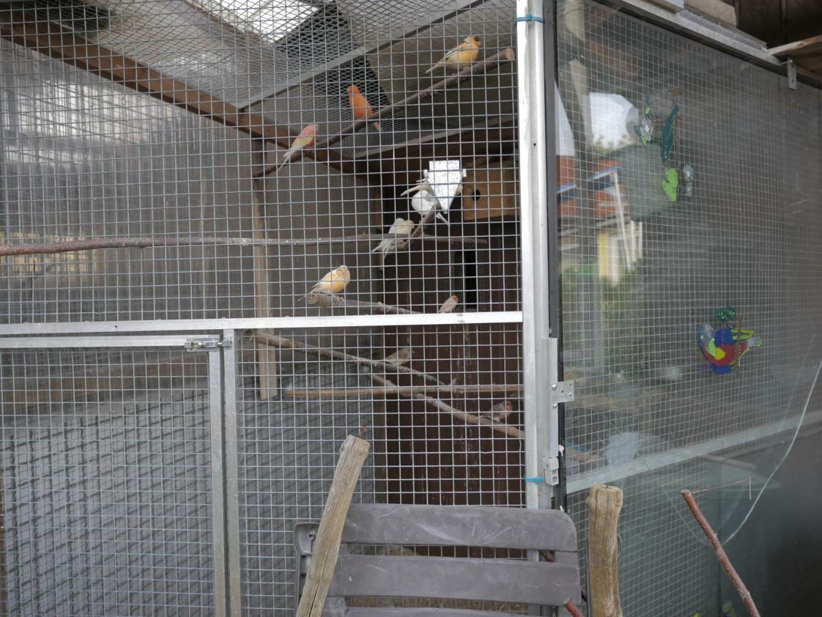Zimmervermietung Am Teutoburger Wald Lage  Bagian luar foto